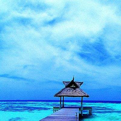 乐动体育app下注下载